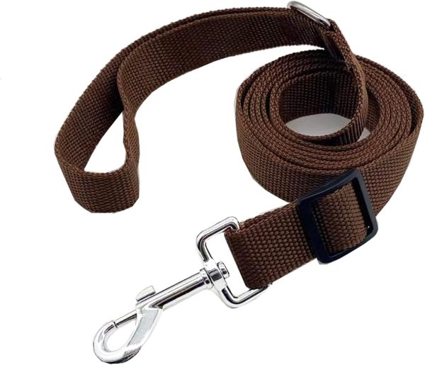 6FT/ 10FT Adjustable Dog Leash, Nylon Dog Leashes for Medium Large Dogs (10FT, Brown)
